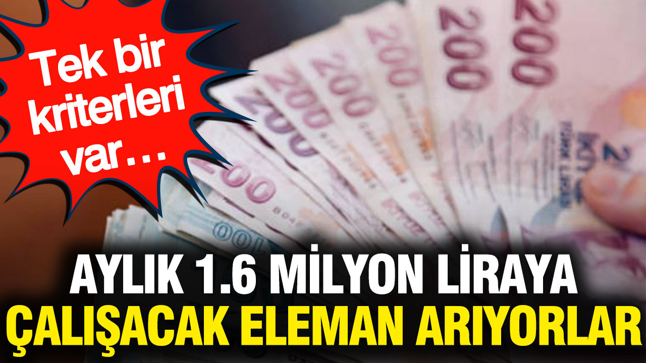 Aylık 1.6 milyon liraya çalışacak eleman arıyorlar: Tek bir kriterleri var…