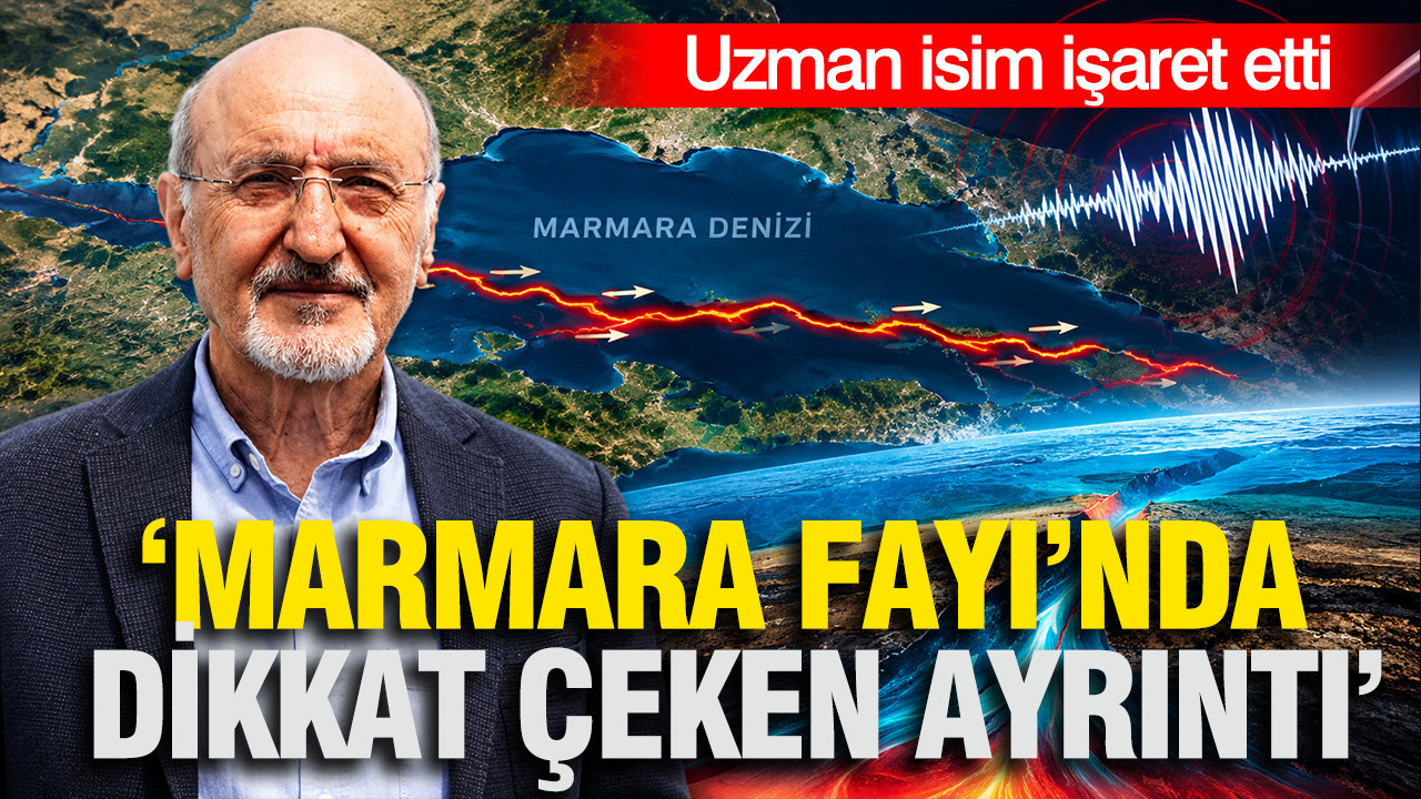 Marmara Fayı’nda dikkat çeken ayrıntı: Bazı bölümlerde farklı farklı bir hareket var